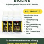 Biolive Mly – DGV