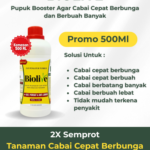 Biolive Pupuk Cabe – FB